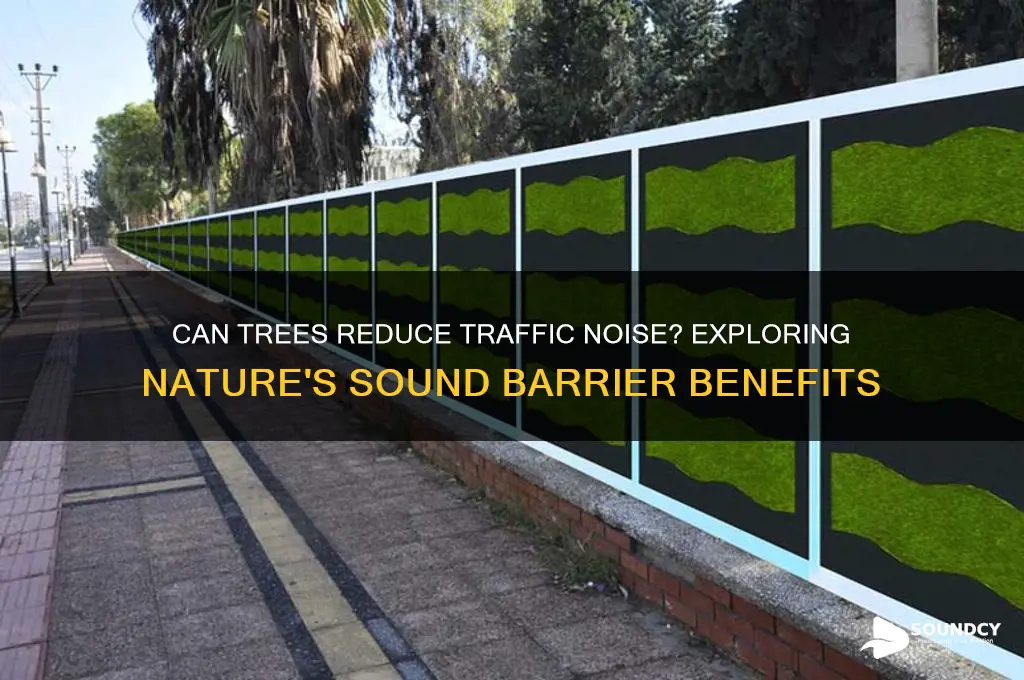 do trees cut down on the sound of traffic