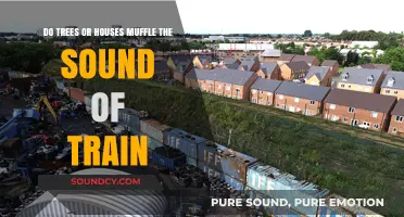 Trees vs. Houses: Which Better Muffles Train Noise?