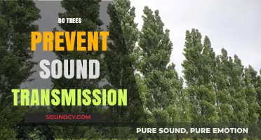 Can Trees Block Noise? Exploring Sound Transmission Prevention in Nature