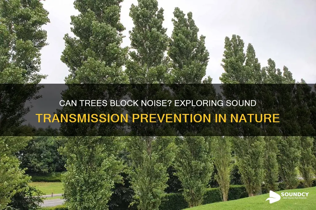 do trees prevent sound transmission