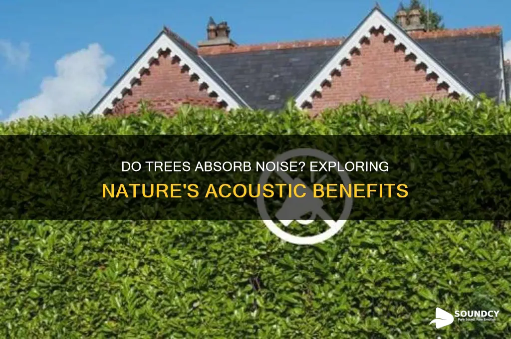 do trees soak up sound