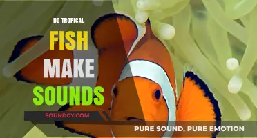 Unveiling the Secret Sounds of Tropical Fish: Do They Communicate?