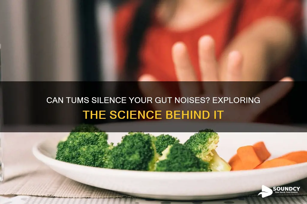 do tums tums help with siliencing ur gut sounds
