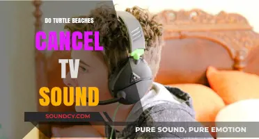 Turtle Beach Headsets: Block TV Noise?