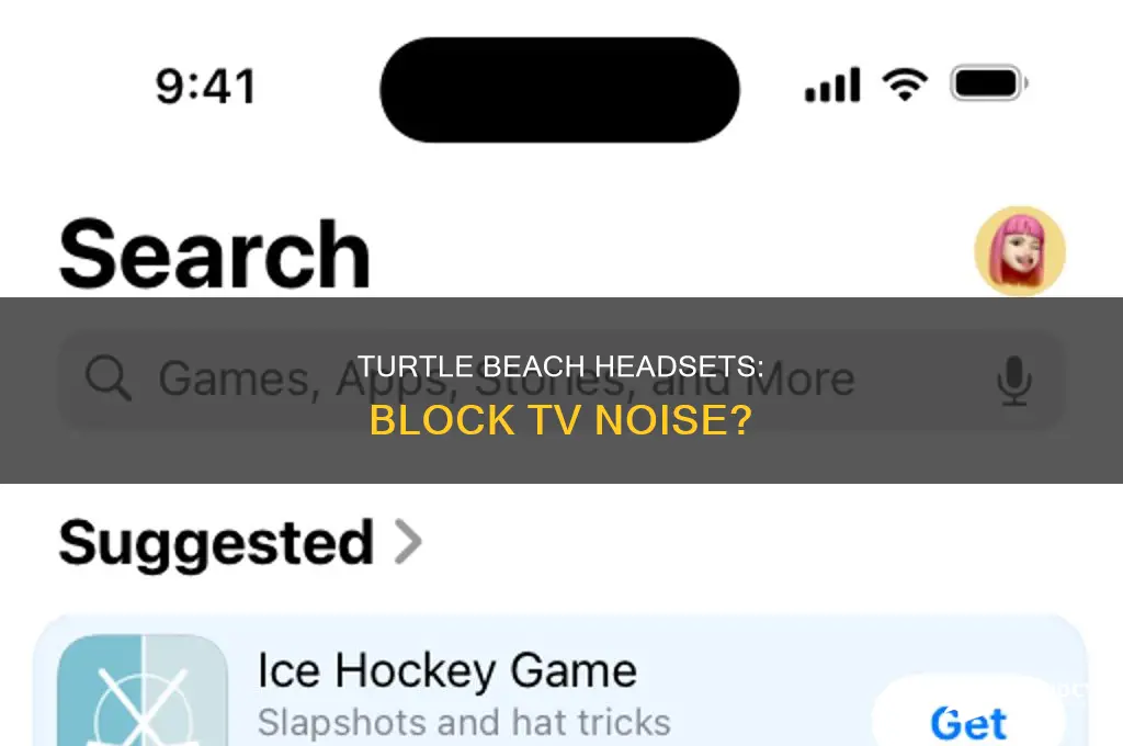 do turtle beaches cancel tv sound