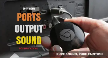 HDMI Ports: Can They Output Audio?