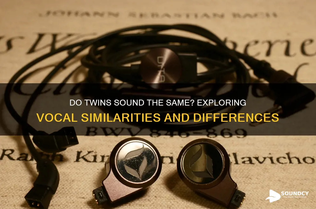 do twins sound the same