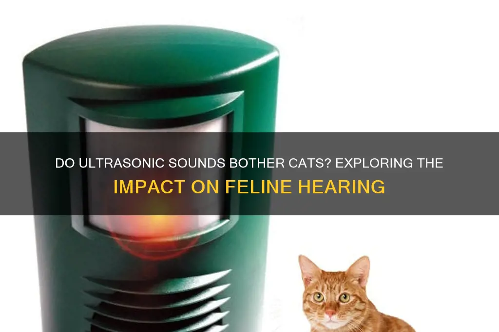 do ultrasonic sound bother cats