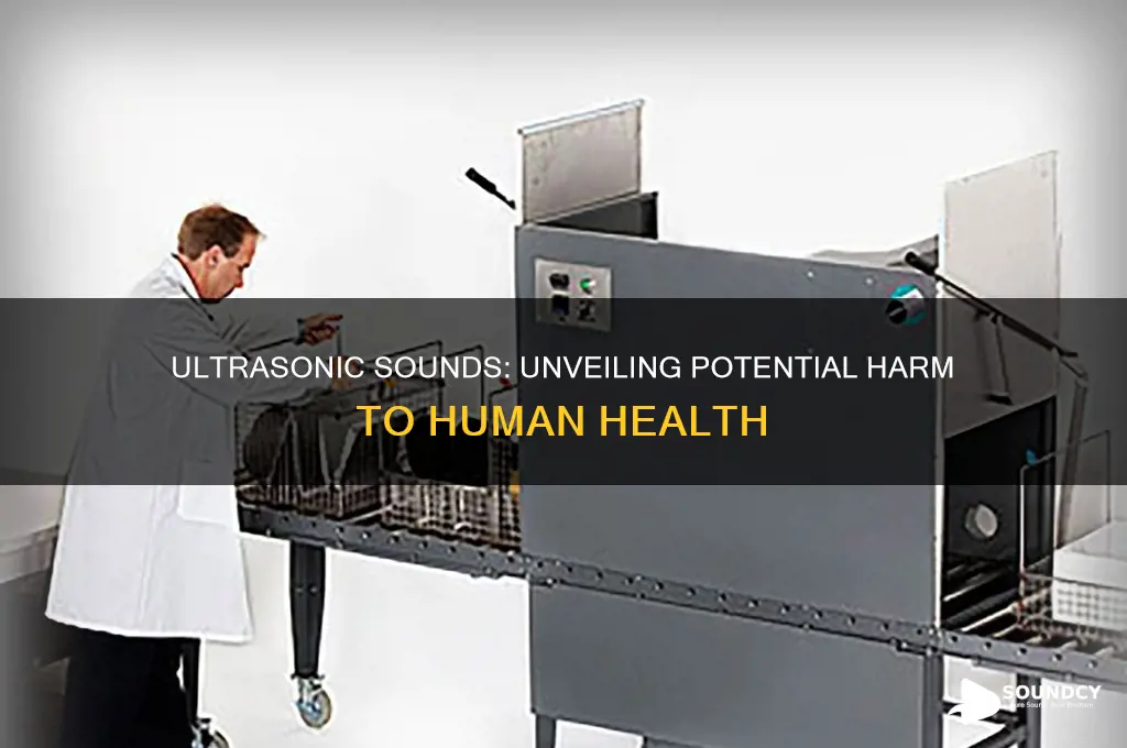 do ultrasonic sounds harm human
