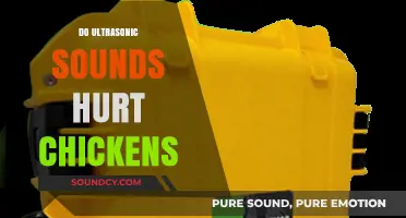 Do Ultrasonic Sounds Harm Chickens? Exploring the Impact and Safety