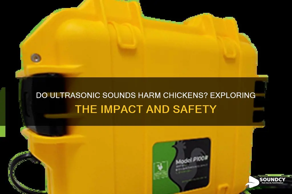 do ultrasonic sounds hurt chickens