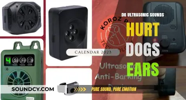 Ultrasonic Sounds: Are They Harmful to Dogs?