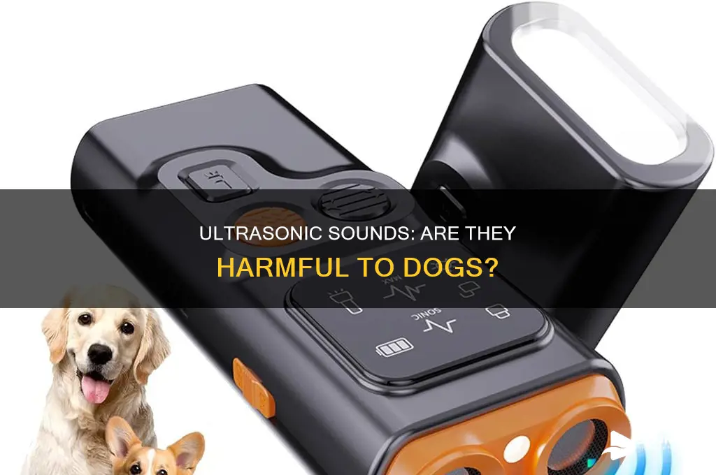 do ultrasonic sounds hurt dogs ears