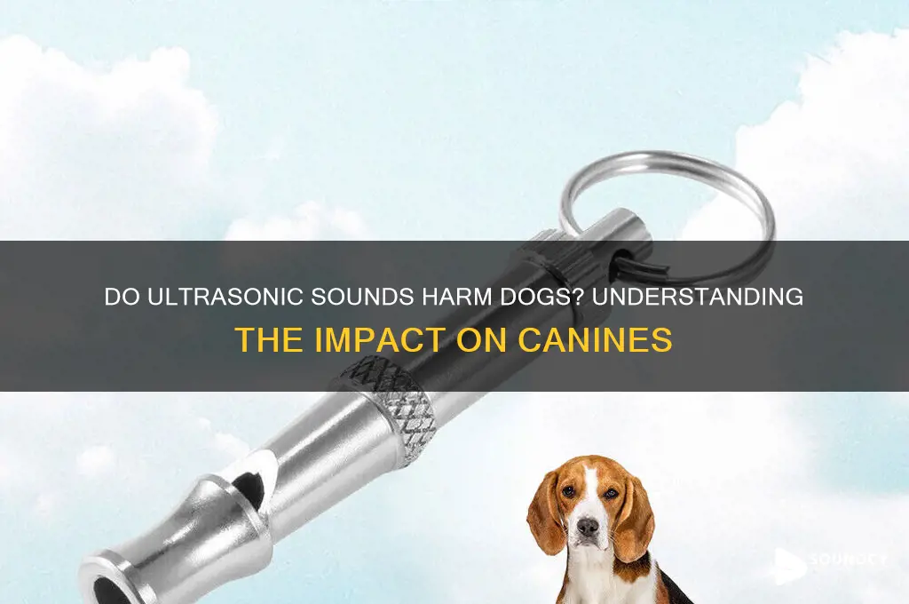 do ultrasonic sounds hurt dogs