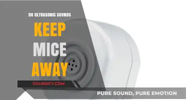 Ultrasonic Sounds: Effective Mouse Repellent?