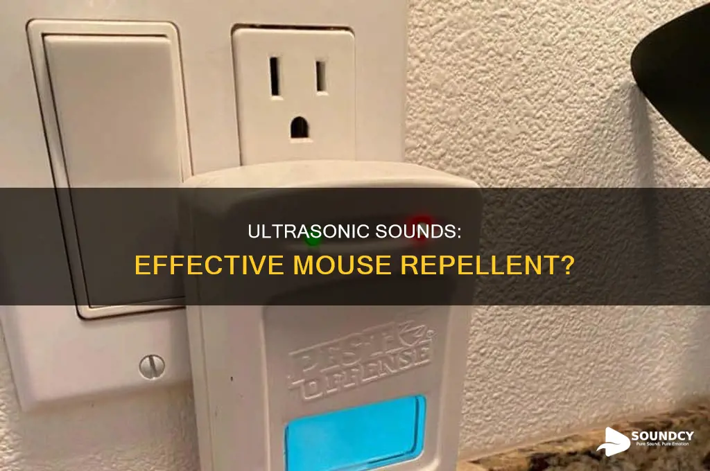 do ultrasonic sounds keep mice away