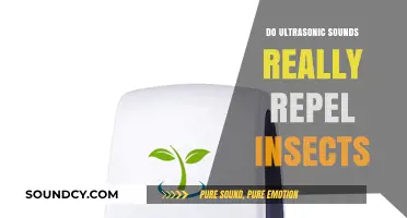 Ultrasonic Insect Repellents: Do They Work?