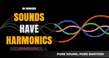 Unvoiced Sounds and Harmonics: Exploring the Science Behind Speech Acoustics