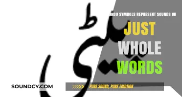 Unveiling Urdu Script: Do Symbols Represent Sounds or Entire Words?