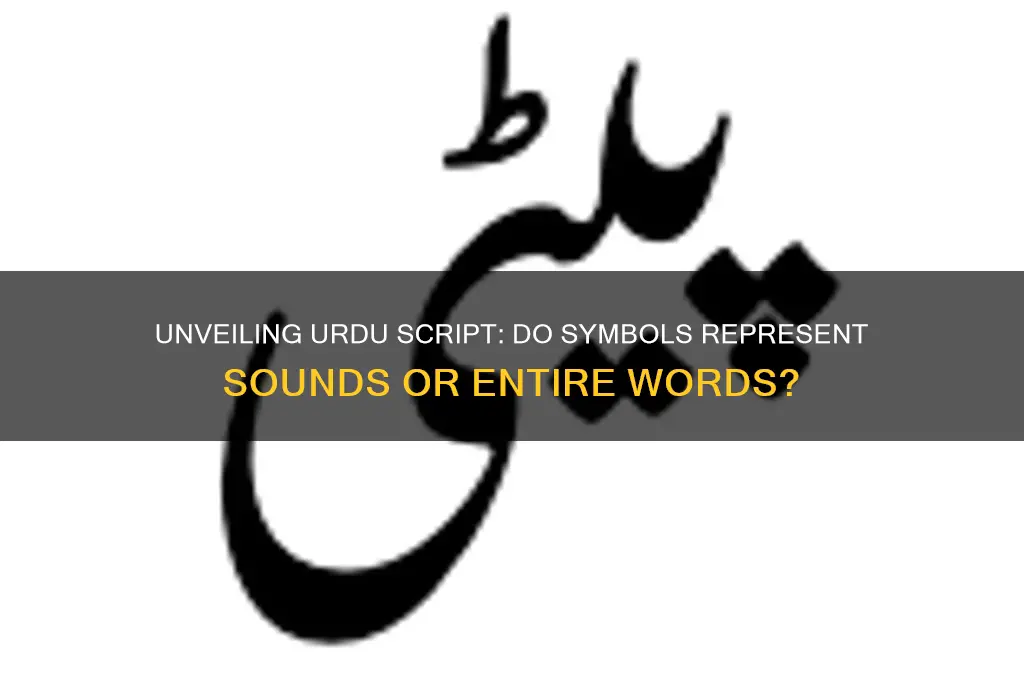 do urdu symbols represent sounds or just whole words