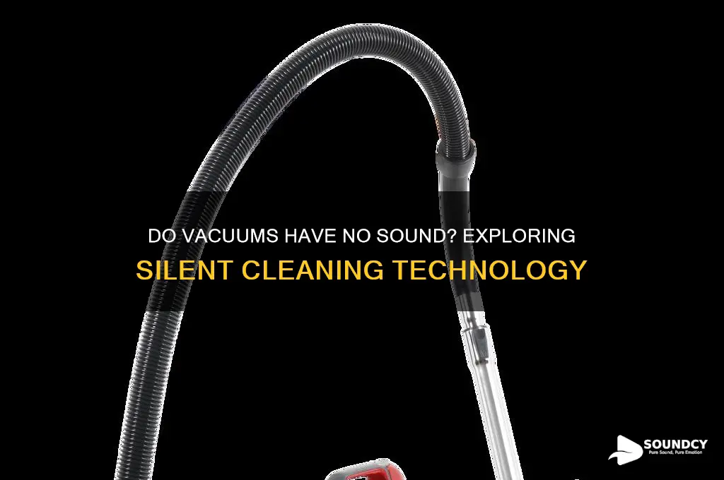 do vacuums have no sound