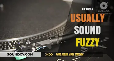 Do Vinyl Records Typically Produce a Fuzzy Sound Quality?