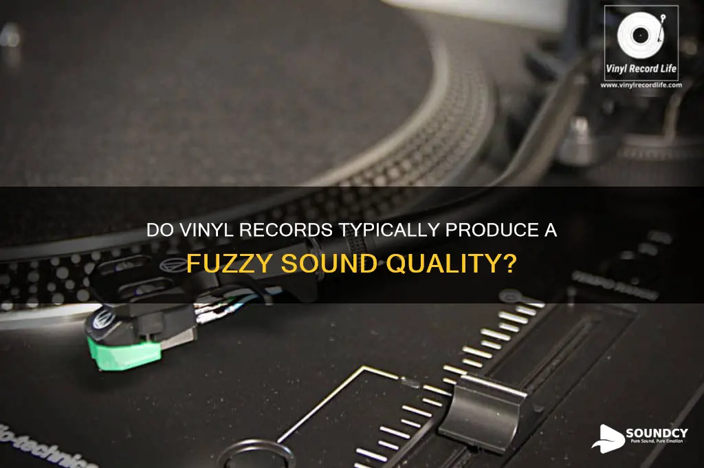 do vinyls usually sound fuzzy