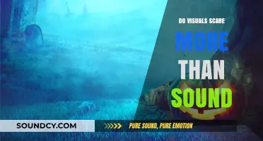 Visuals vs. Sound: What Scares More?