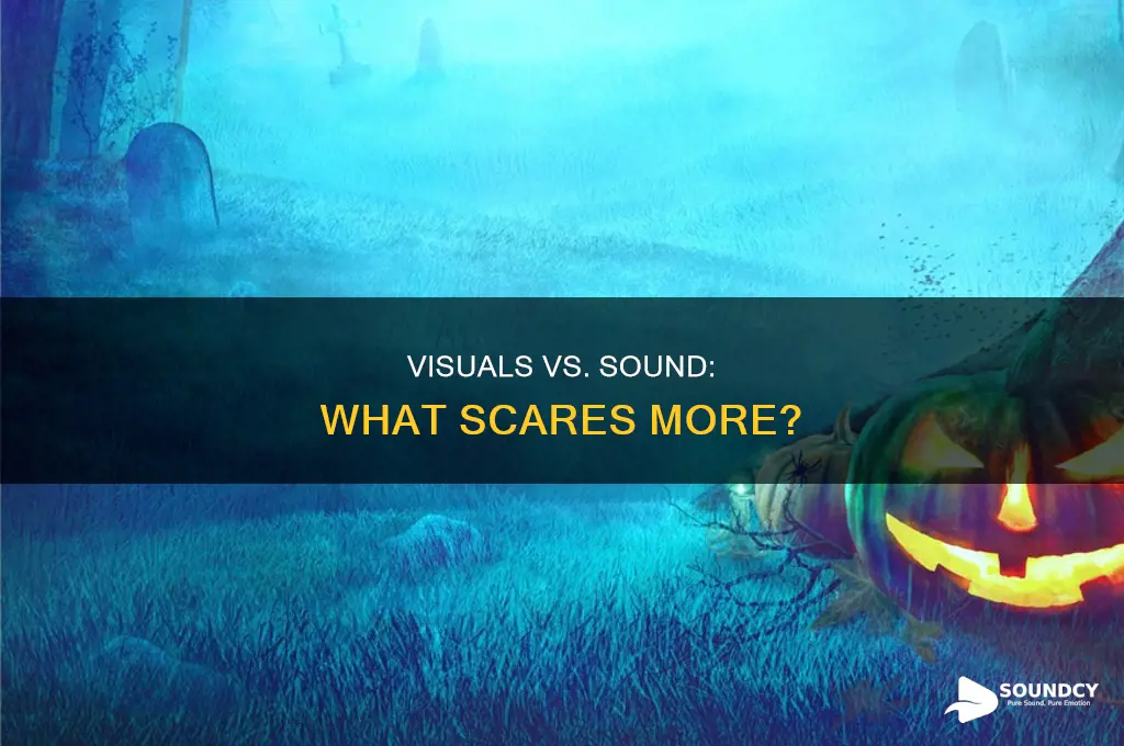do visuals scare more than sound