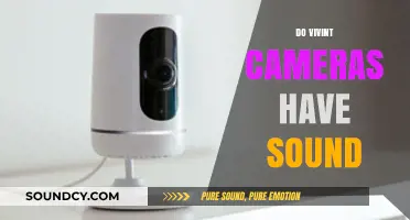 Vivint Cameras with Sound: Features, Benefits, and Privacy Concerns