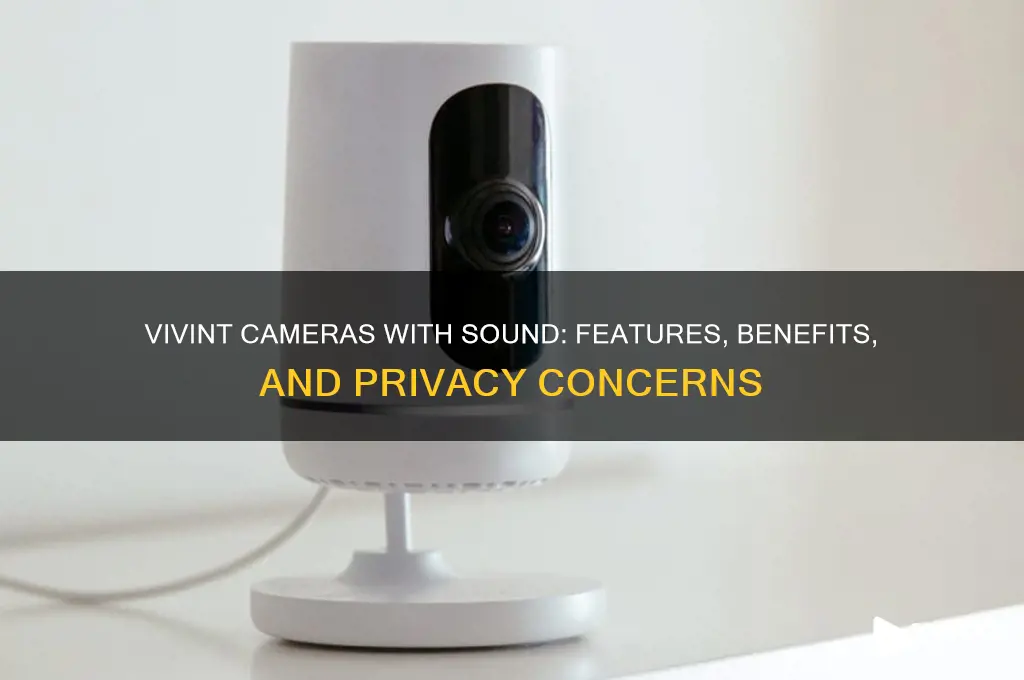 do vivint cameras have sound