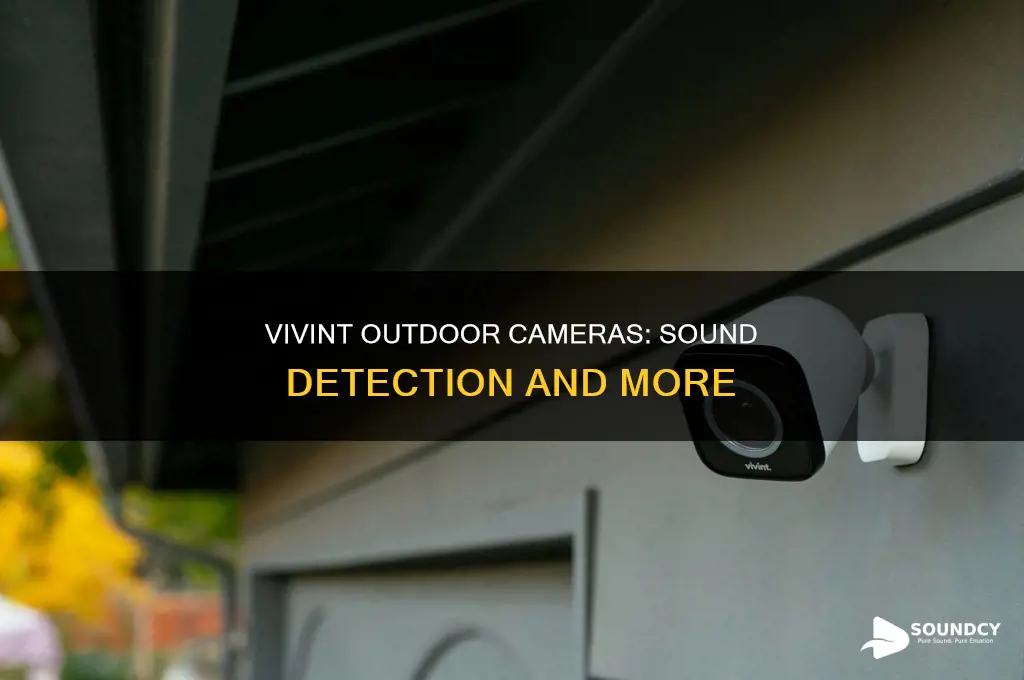 do vivint outdoor cameras have sound