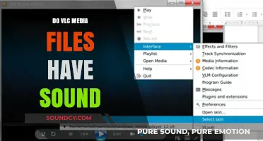 VLC Media Files: Where's the Sound?