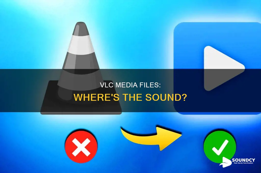 do vlc media files have sound