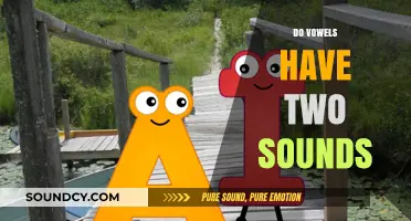 Exploring the Dual Nature of Vowels: Do They Have Two Sounds?