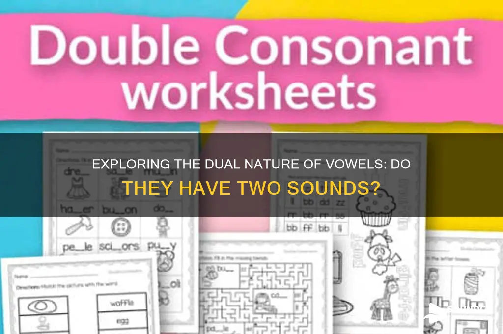 do vowels have two sounds