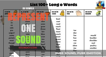 Do Vowels Represent One Sound? Exploring Phonetic Complexity and Variations