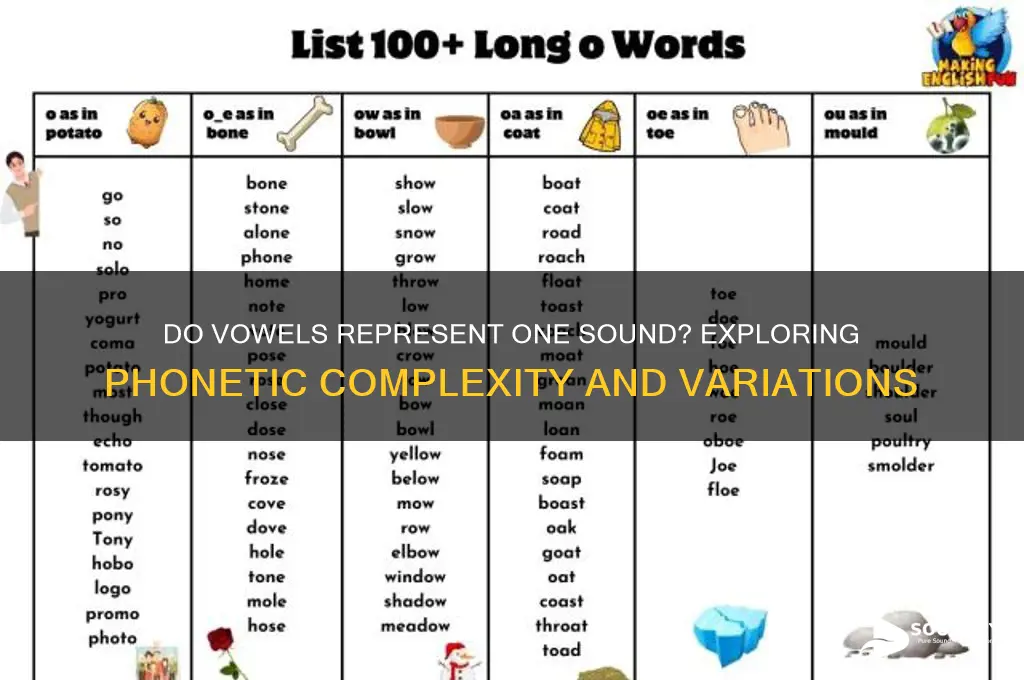 do vowels represent one sound