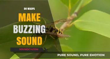 Why Do Wasps Buzz? Unraveling the Mystery of Their Noisy Flight