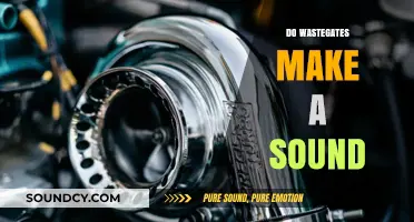 Do Wastegates Make a Sound? Exploring the Turbocharged Whine