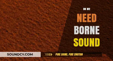 Exploring the Necessity of Brown Noise for Focus and Relaxation