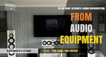 Accurate Sound Reproduction: A Must-Have or Overrated Audio Feature?