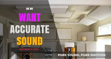 Pursuing Perfect Audio: Do We Truly Need Accurate Sound Reproduction?