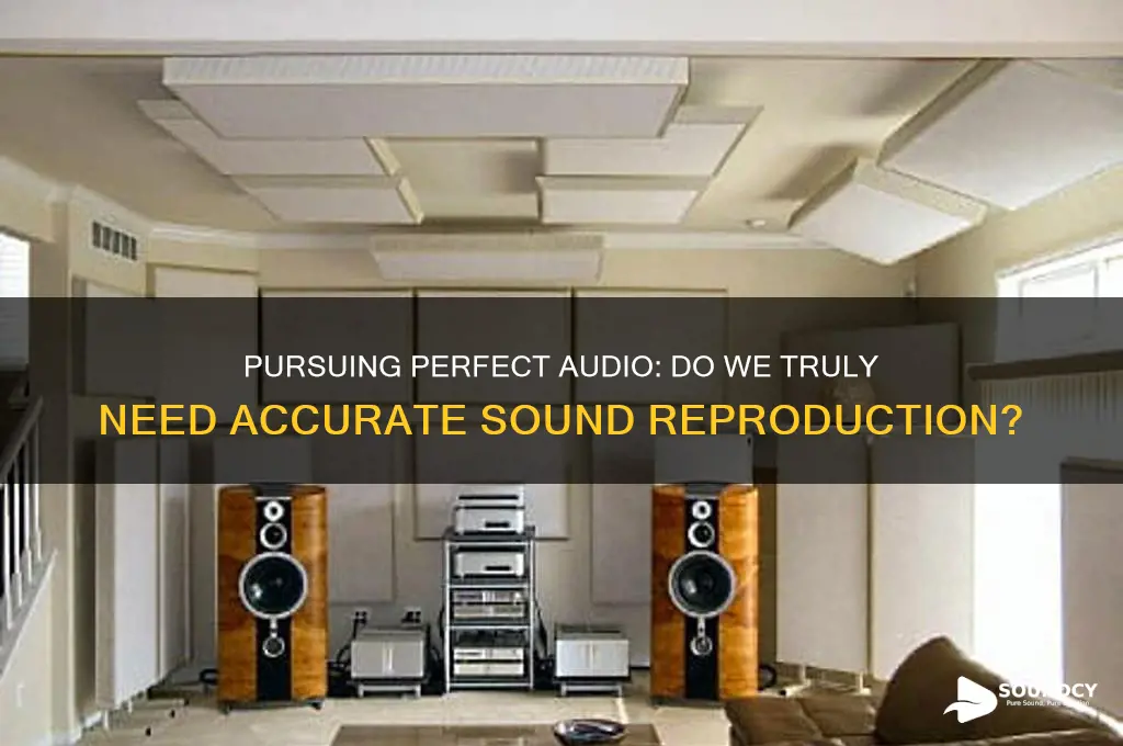 do we want accurate sound