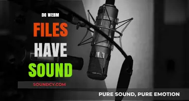 Do WebM Files Include Audio? Understanding WebM Sound Capabilities
