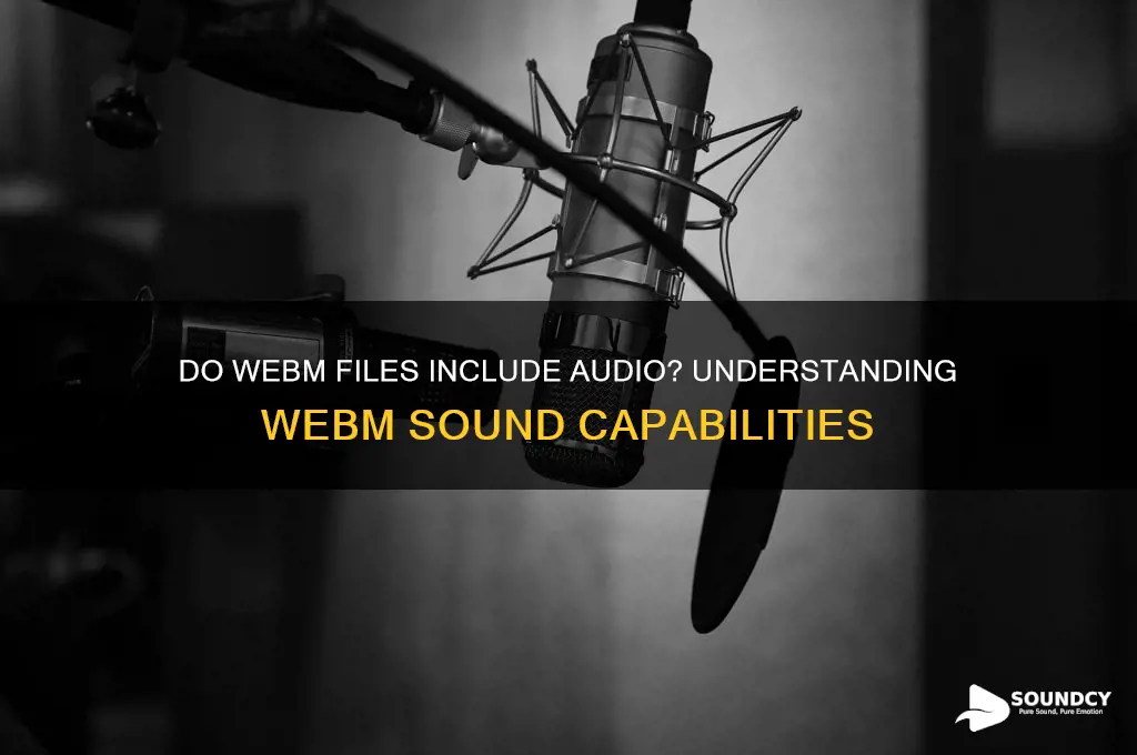 do webm files have sound