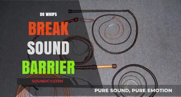 Can Whips Break the Sound Barrier? Exploring the Science Behind the Crack