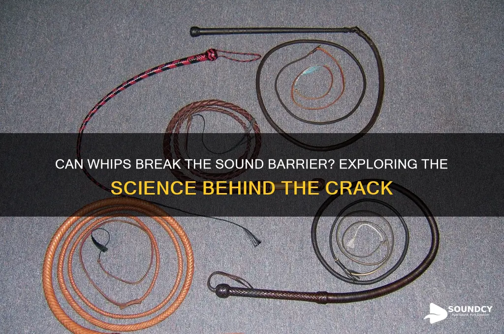 do whips break sound barrier