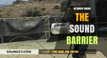 Whip Cracking: Breaking the Sound Barrier?