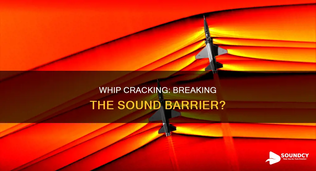 do whips break the sound barrier